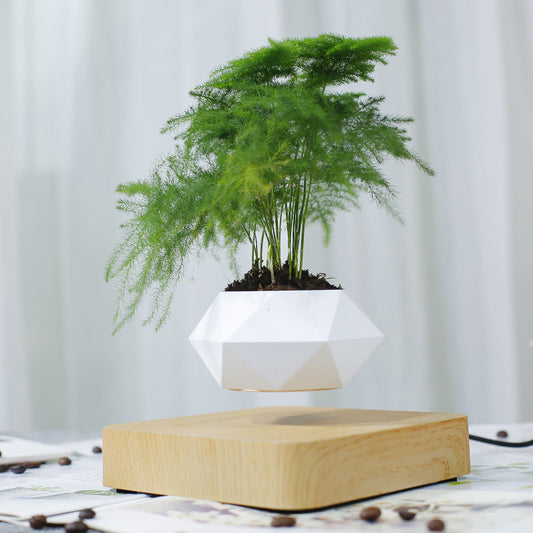 GoFuraaly™ LevioPlanter — Magnetic-Levitation Polygonal Wood-Grain Floating Plant Pot