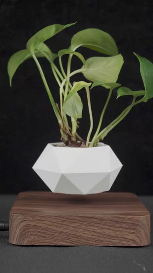 Magnetic Levitation Polygonal Wood Grain Potted Pl