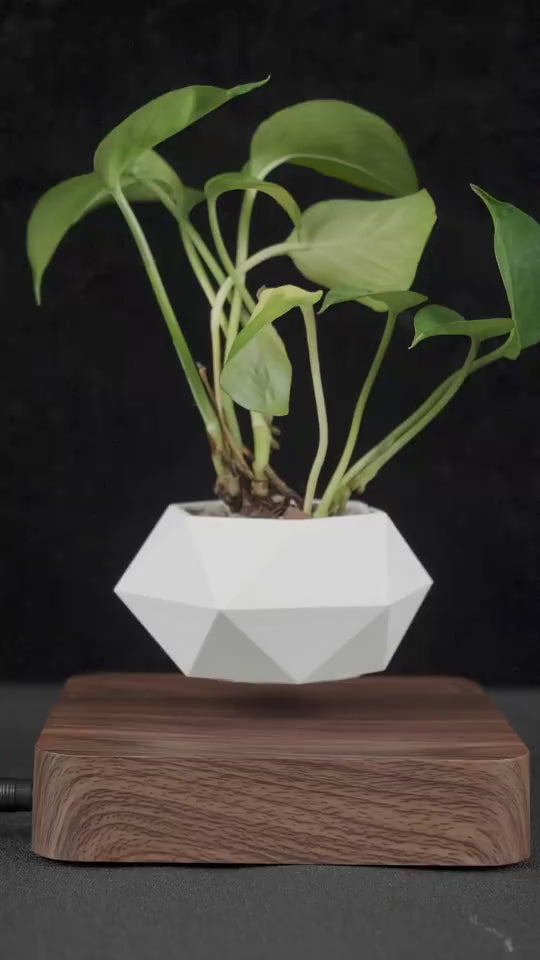 Magnetic Levitation Polygonal Wood Grain Potted Pl